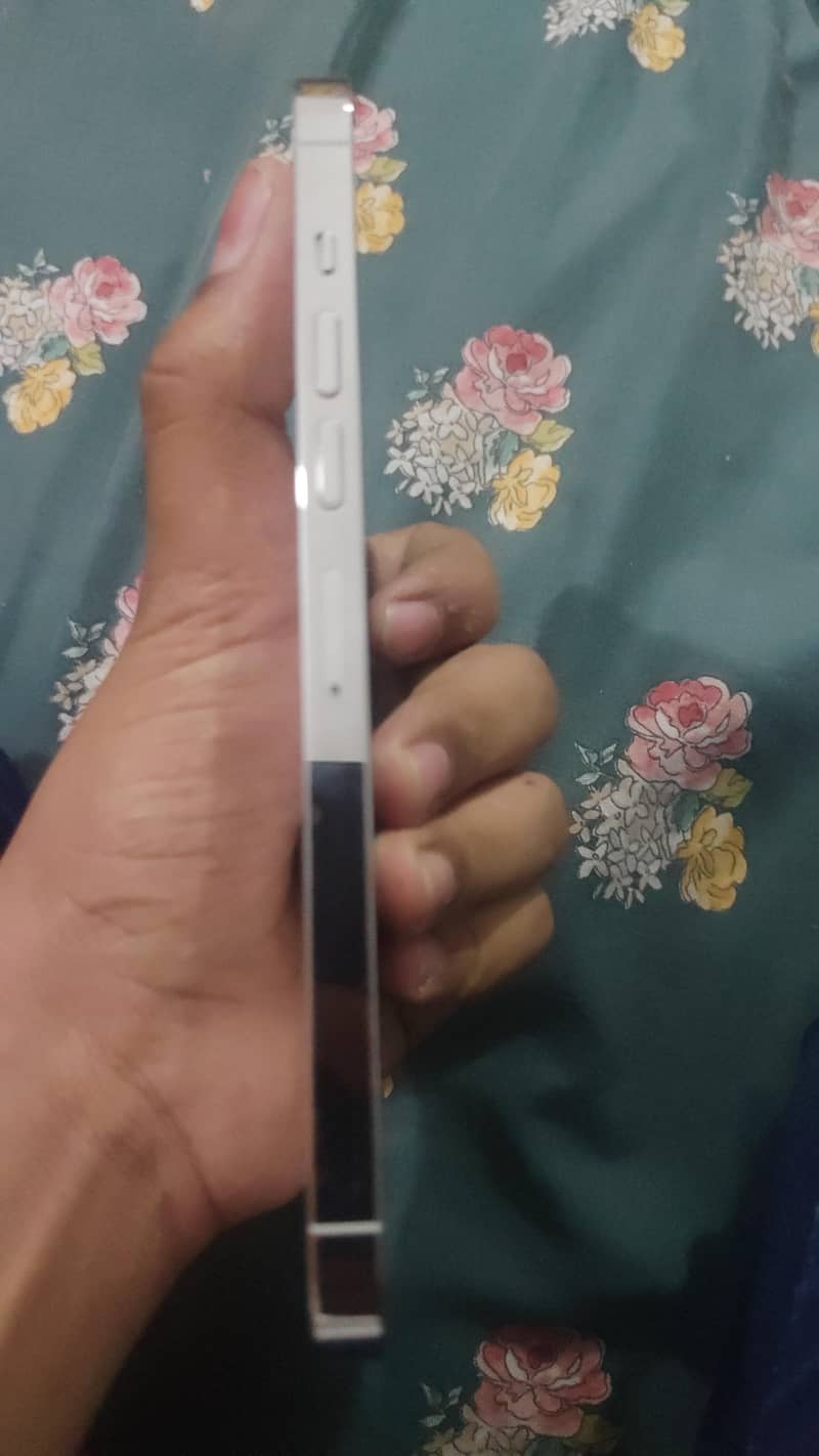 IPhone 13 pro max 2