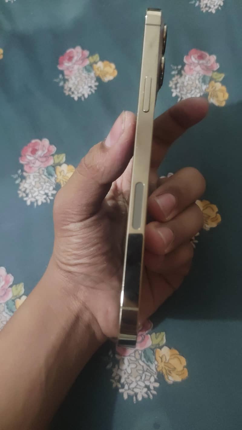 IPhone 13 pro max 7