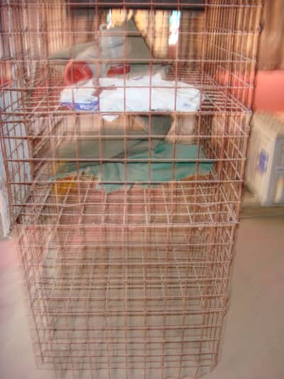 hen cage 4 potion