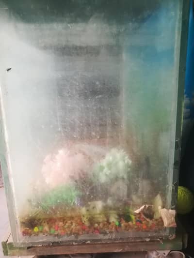 Glass Aquarium for sale