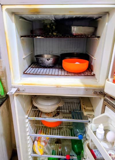 PEL FRIDGE FOR SALE