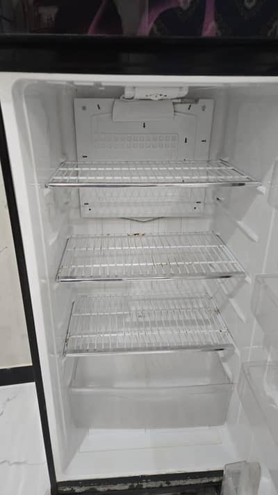 PEL glass door refrigerator for sale
