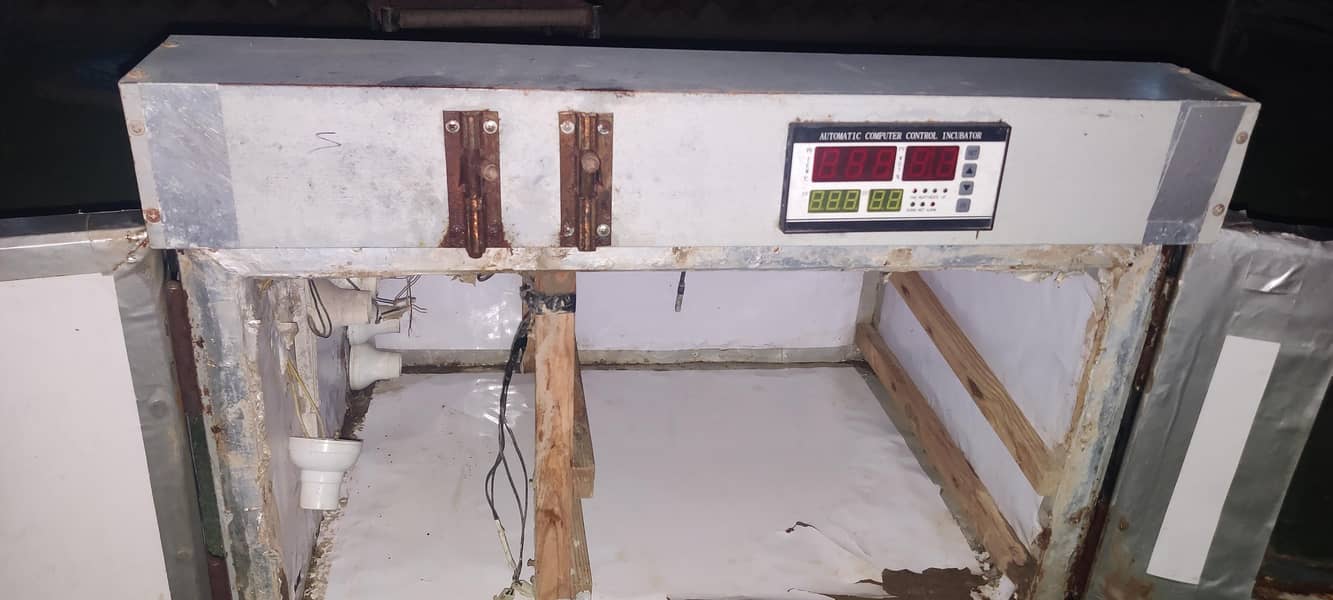 incubator eggs machine 7