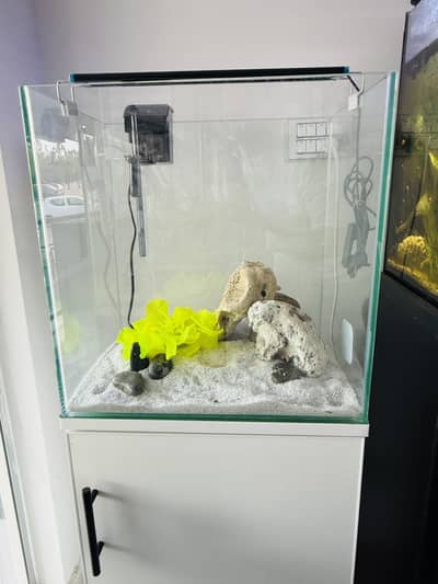 Beautiful aquariums
