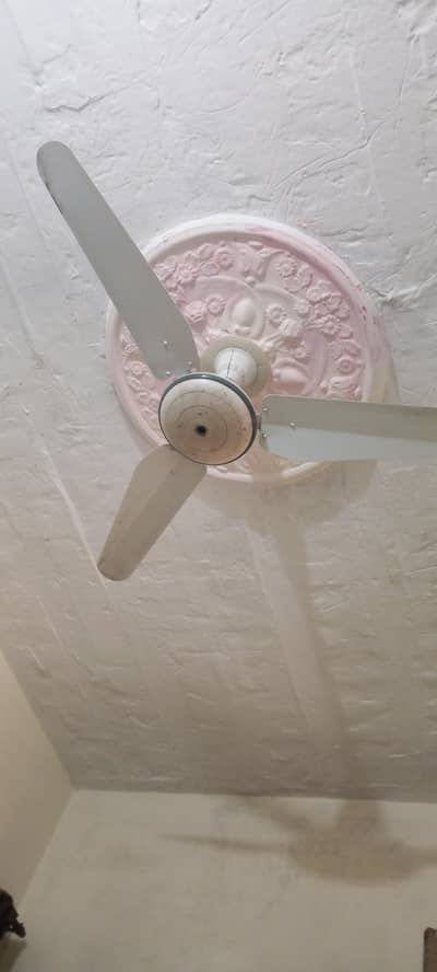 Celling Fan