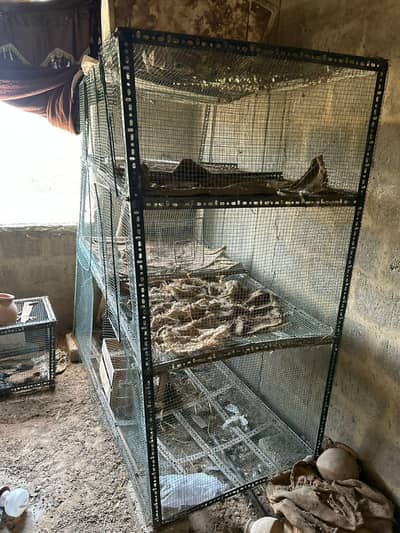 BIG SIZE CAGE MADE WITH IRON FRAME