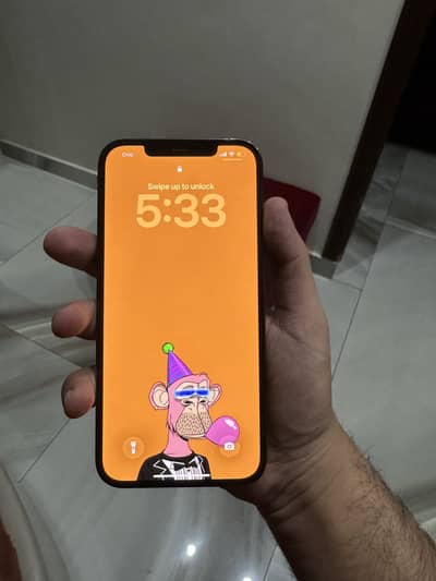 iphone 12 Pro Max PTA Approved 256GB