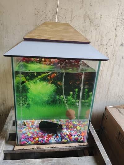 Aquarium for sale