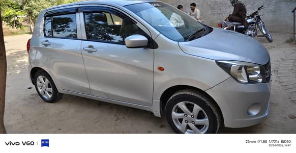 Suzuki cultus
