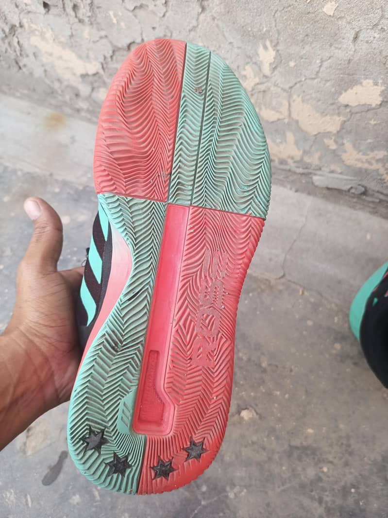 new sneaker 5