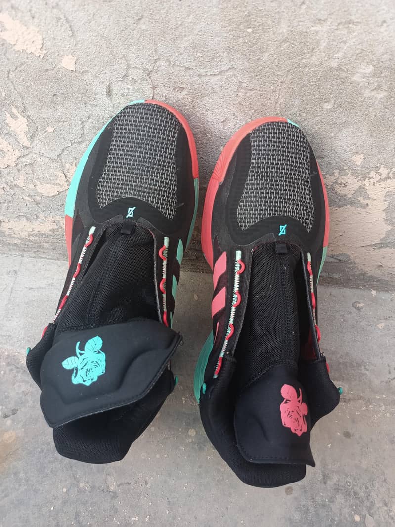 new sneaker 7