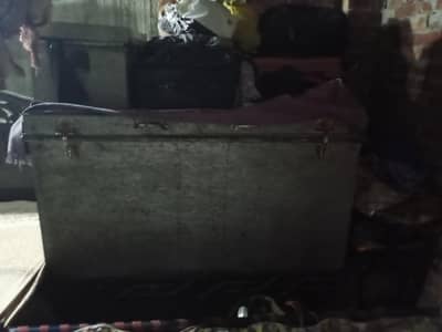 trunk peti