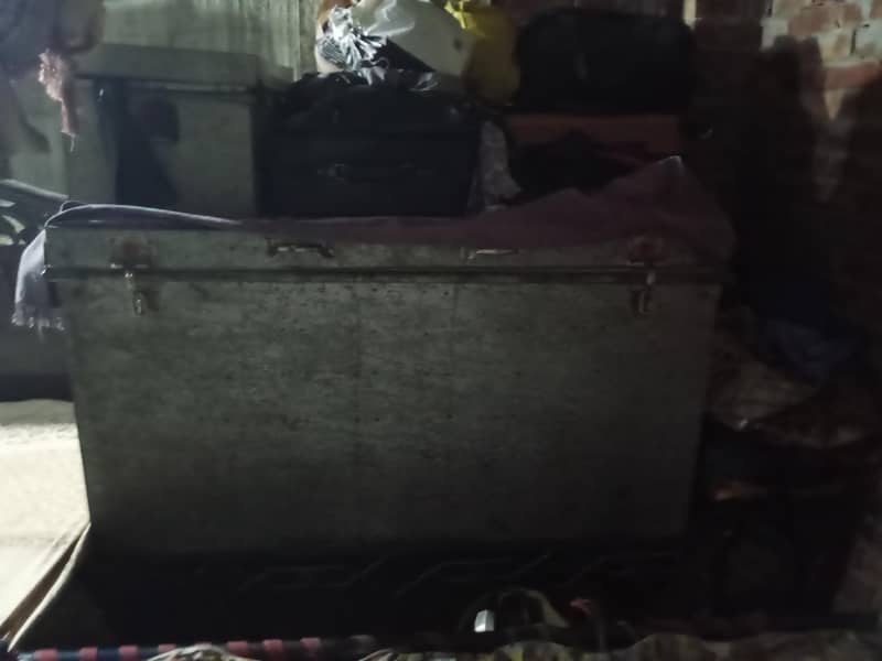 trunk peti 0