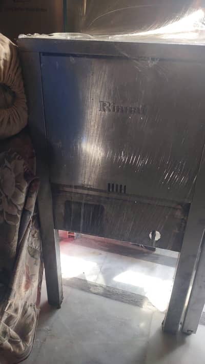 Rinnai 22 litre fryer