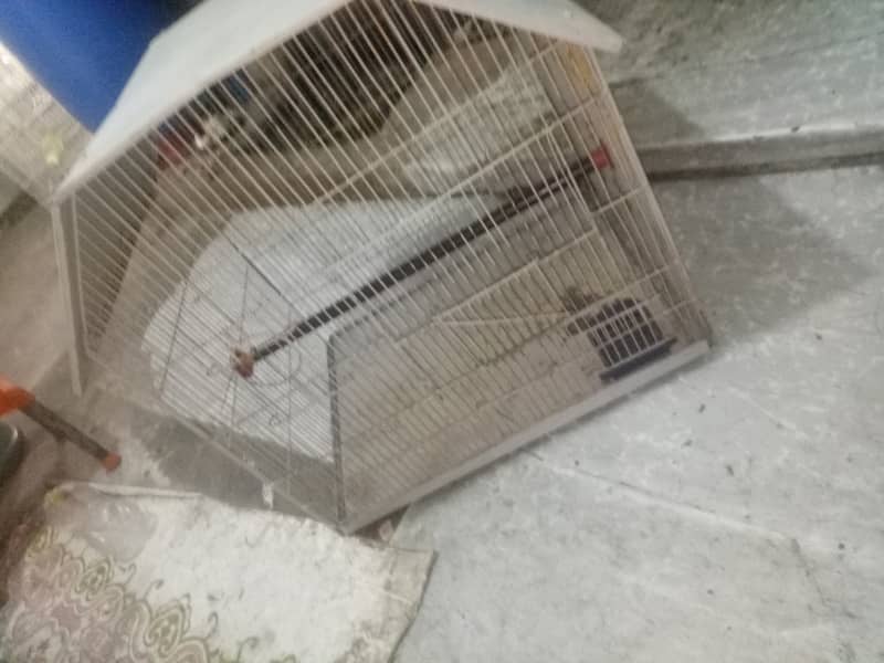 Olx user 3