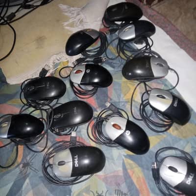 keyboard mouse Vga cable power cable
