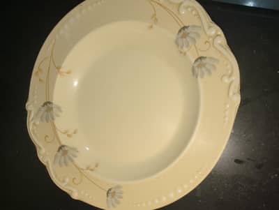 Dinner set plastic used