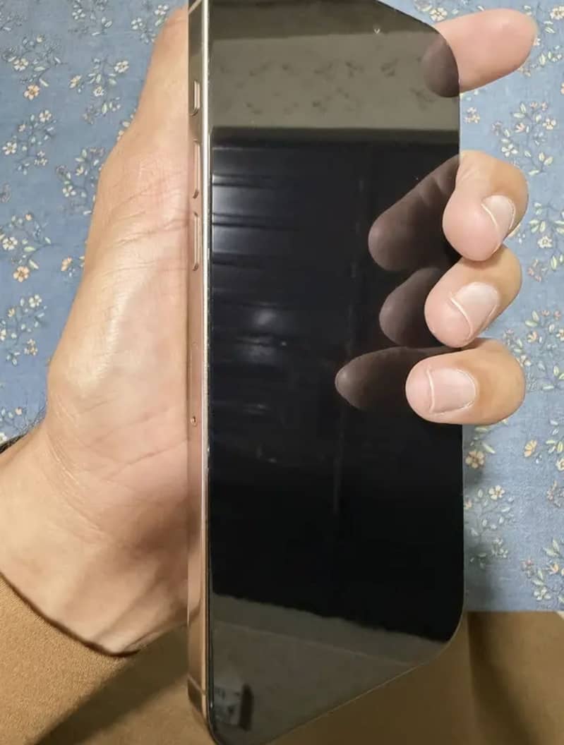 Iphone 16 pro max 2