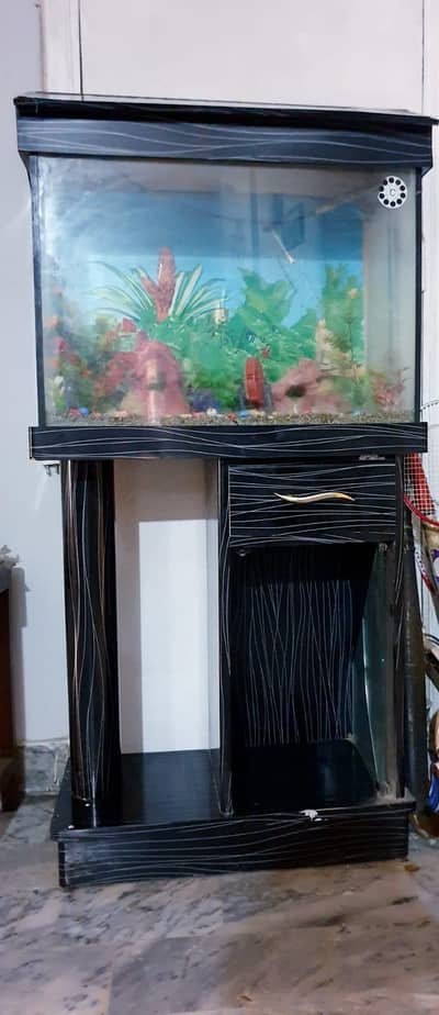 aquarium