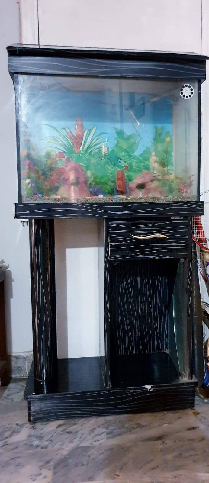aquarium 0