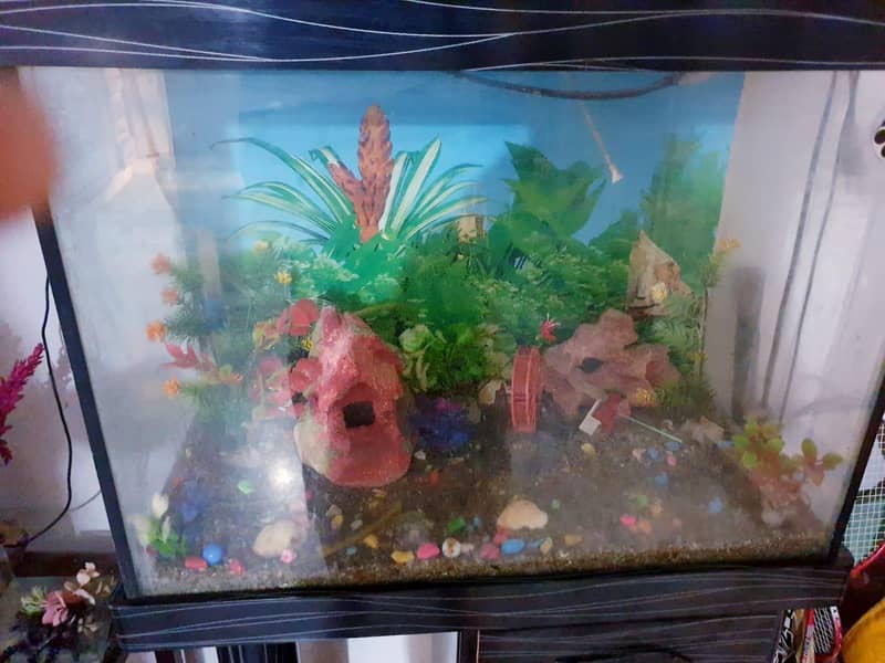 aquarium 1
