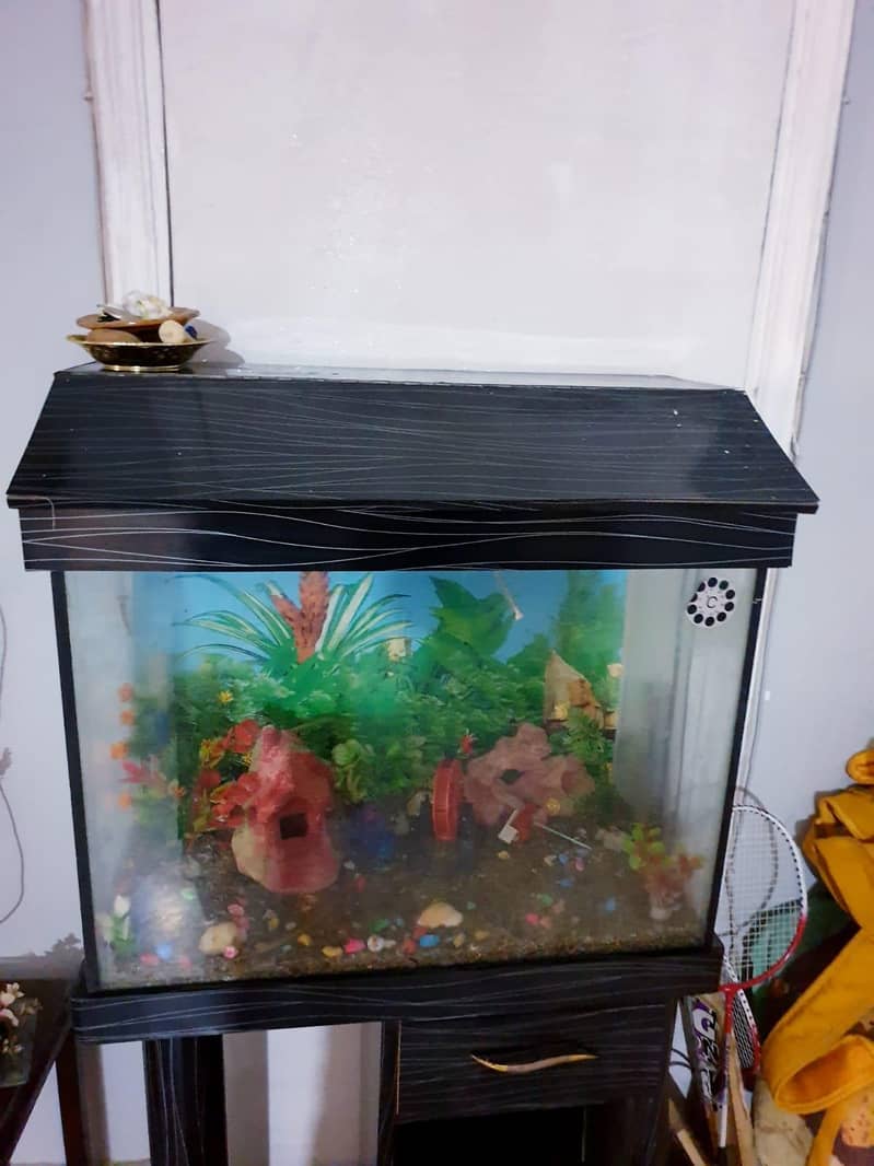 aquarium 2
