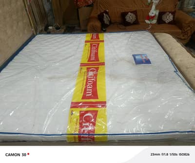 molty foam