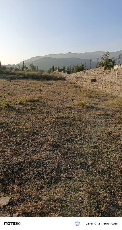 Plot For Sale 1