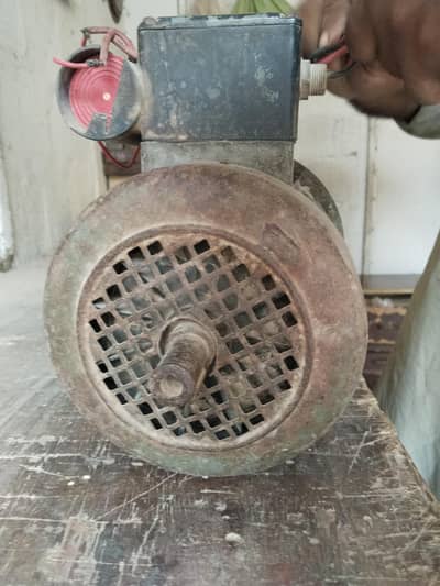 Bauknacht Motor