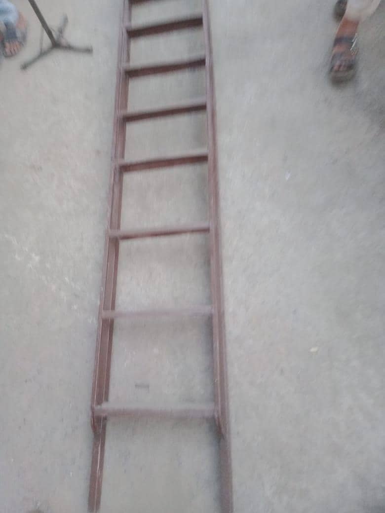 ladder 1