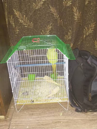 urgent sell krna h