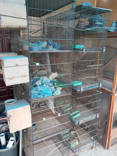 cages