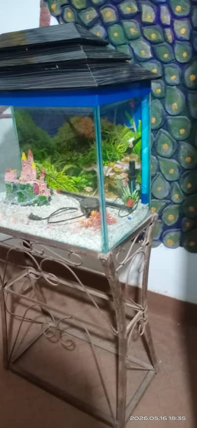 Aquarium for sale phone number 03036673181