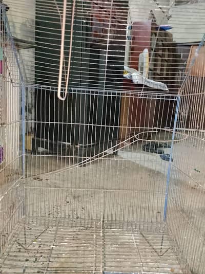 parrot  cage