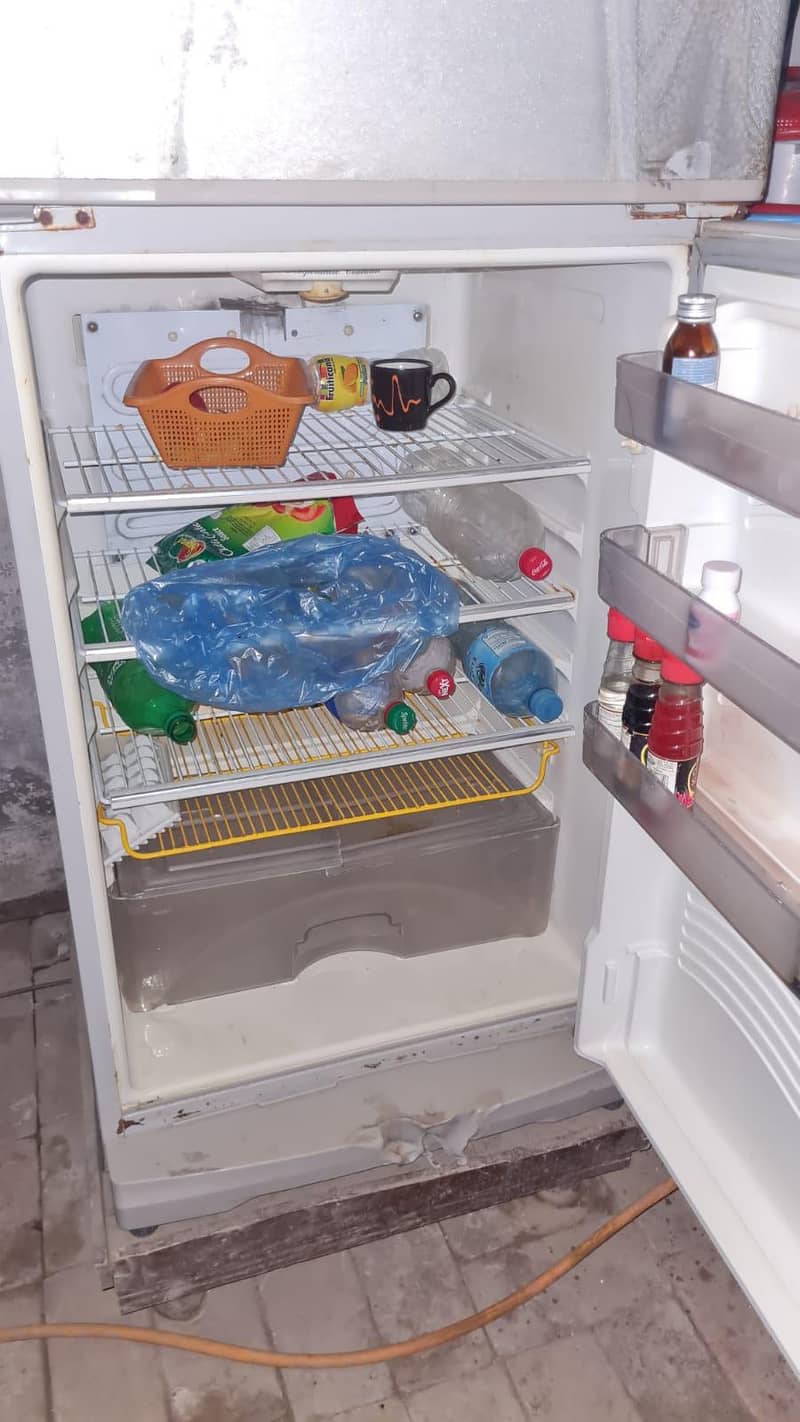 fridge 2