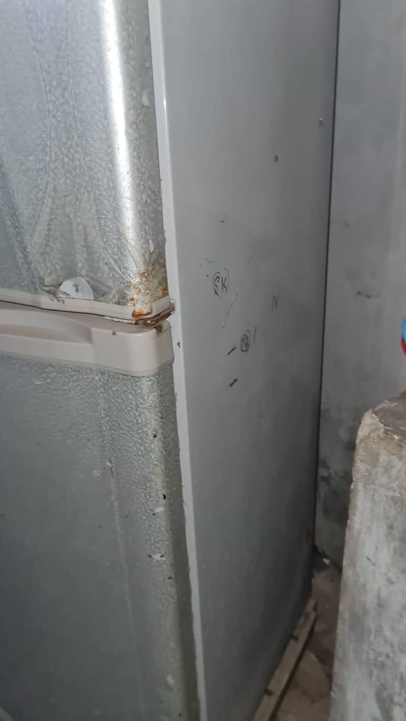 fridge 8