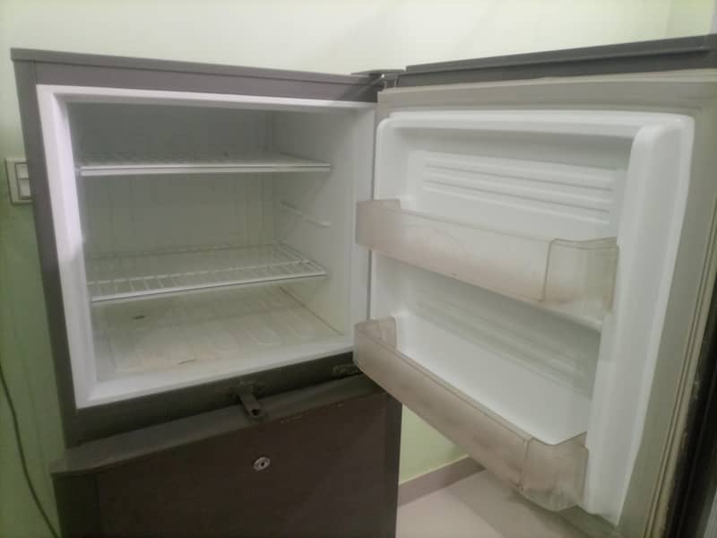 PEL FRIDGE 2