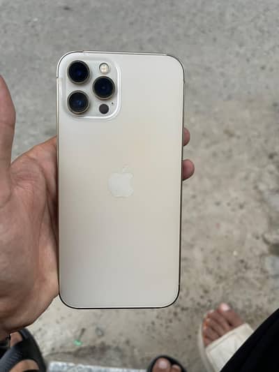 iphone 12 promax