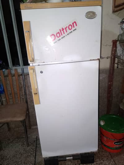 Daltron frideg medium size
