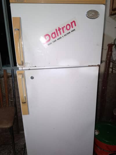 Daltron frideg medium size