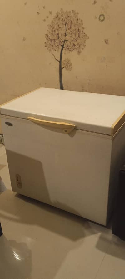Deep Freezer for Sale