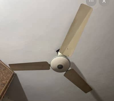 Pak fan cooper original winding