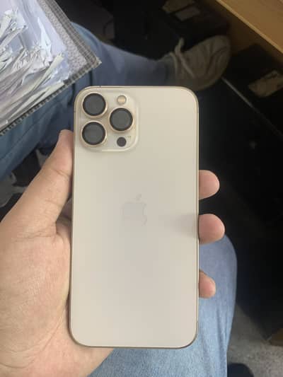 13 pro max