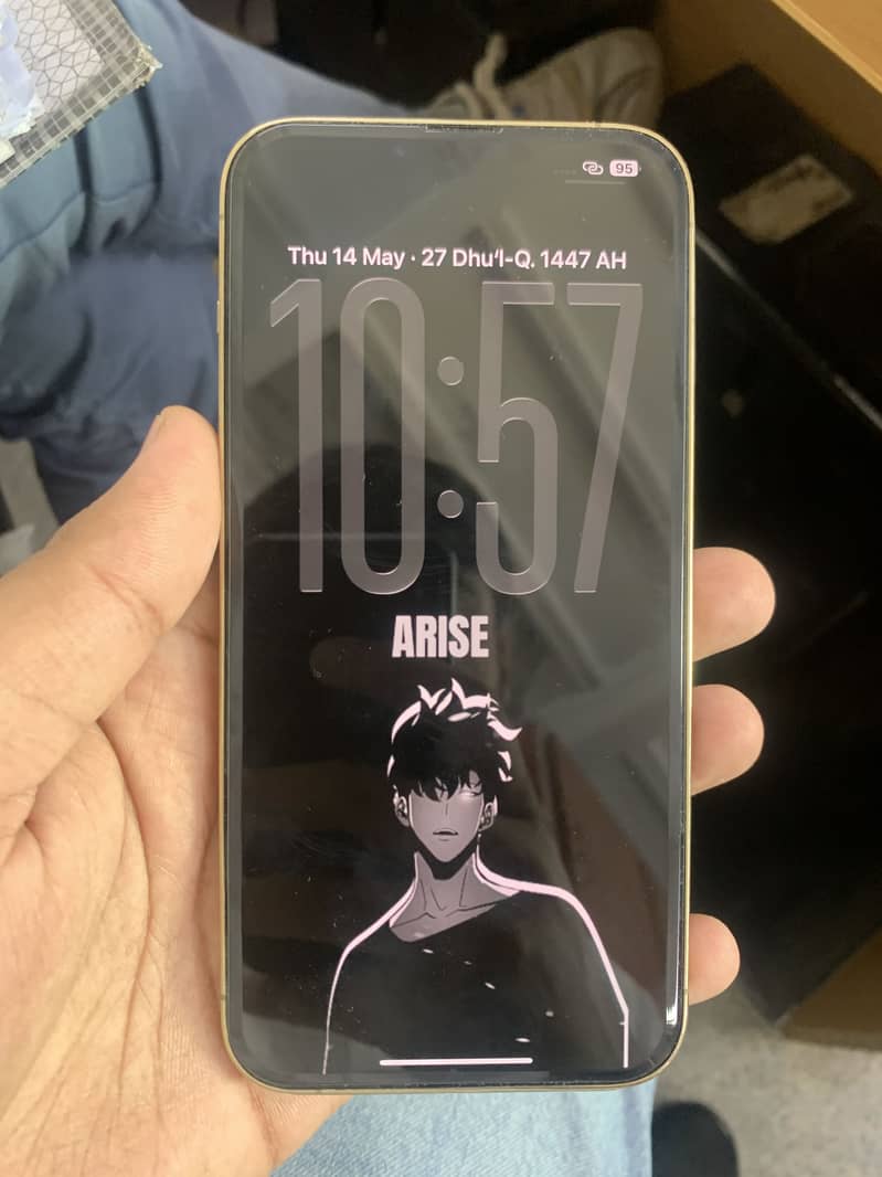 13 pro max 1
