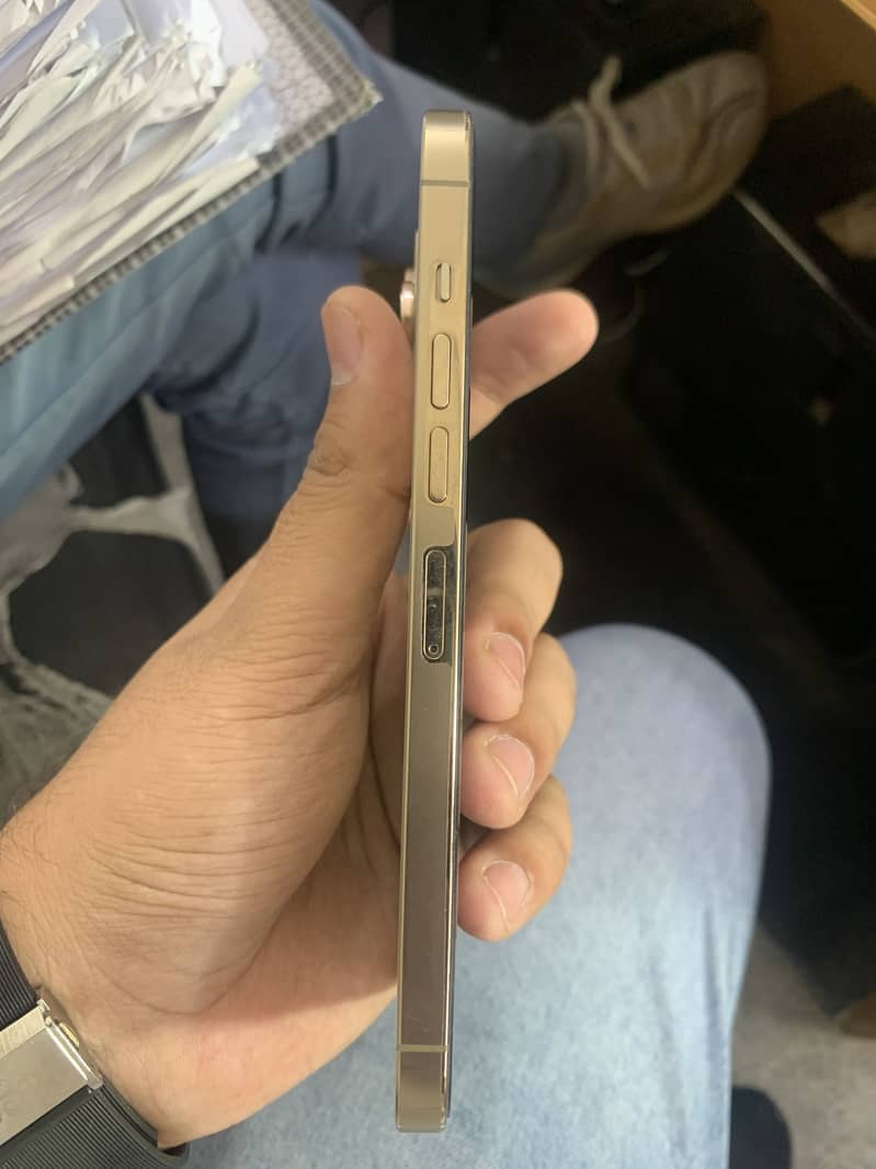 13 pro max 2