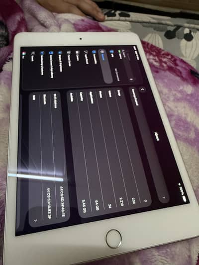 Ipad Mini 5 lush condition