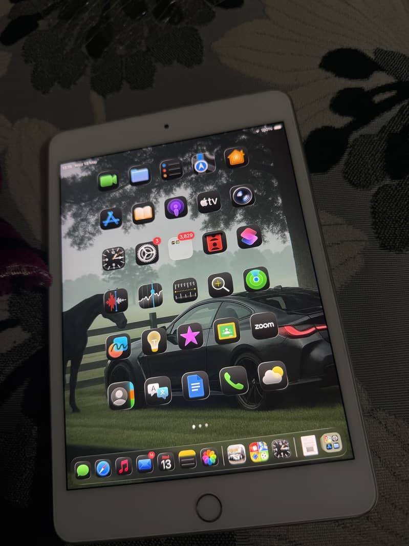 Ipad Mini 5 lush condition 2
