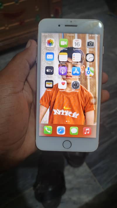 iphone 8 Plus