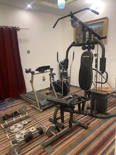 original American Fitness ab king