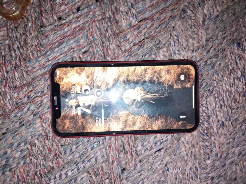 iPhone XR 8